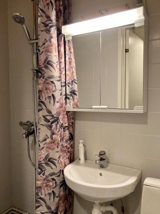 Viehaettaevae Asunto Heinolan Keskustassaアパートメント エクステリア 写真